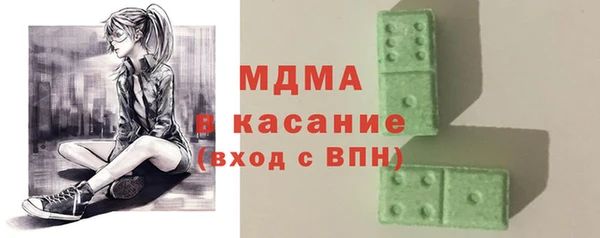 шишки Надым
