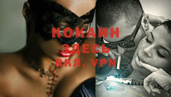 шишки Надым